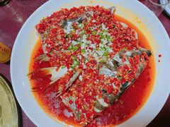-迈臣农家乐