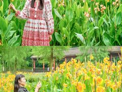 -重庆彩云湖湿地公园