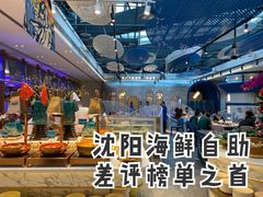 -半岛听涛蒸汽海鲜自助(K11店)