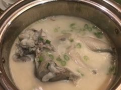 奶汤河豚鱼-南湖春色海鲜食府(中兴街店)