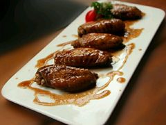 -百好乐宠物友好餐厅(朝外大街店)