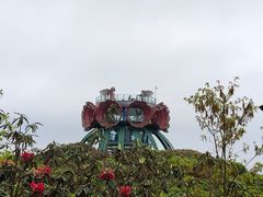 -贵州百里杜鹃风景名胜区