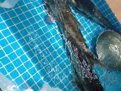 -元银甲·湖北地标美食(汉阳店)