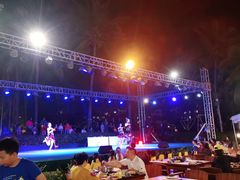 -渔家火锅·海鲜自助餐·演艺(亚龙湾天域酒店)
