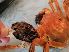 -鱼乐岛餐厅·户外花园主题餐厅