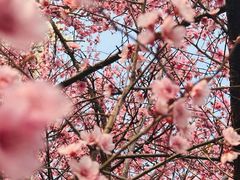 -浙江农林大学(东湖校区)