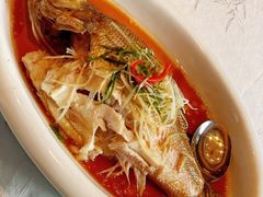 皇家蒸鲈鱼-御仙都北京菜馆·烤鸭店(双井店)