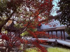 -秋霞圃