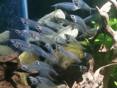 -太平洋海底世界