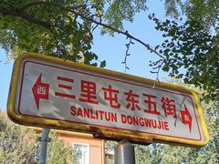 -三里屯东五街银杏大道