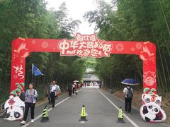 -都江堰中华大熊猫苑