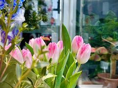 -FEI FEI FLOWER鲜花店·气球派对·宝宝宴布置(虹口德必运动Loft店)