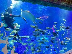 -沈阳海洋探索中心