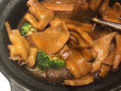 花胶烩鹅掌-春满园·早茶·粤菜·宴会(前海店)