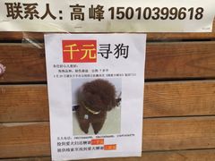 -姥家大锅台(魏各庄路店)