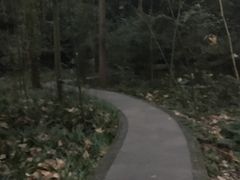 -成都大熊猫繁育研究基地