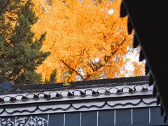 -包公祠
