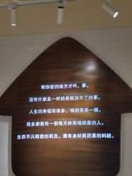 -时尚工厂·科学染发