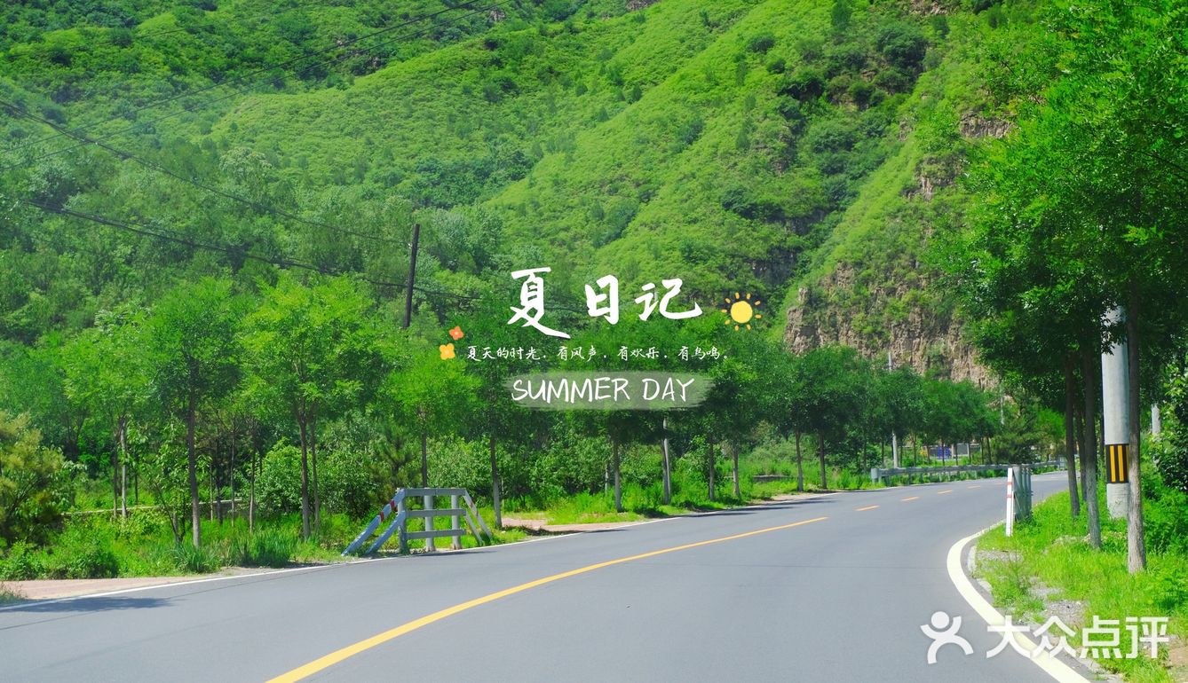 🍃夏日记🍃你爱上温热的空气了吗❓