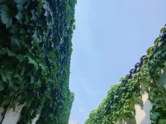 -青果巷历史文化街区