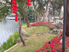 -荔湾湖公园