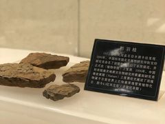 -遵义市博物馆