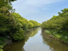 -上海海湾国家森林公园