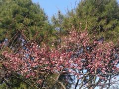 -河海大学(常州校区)