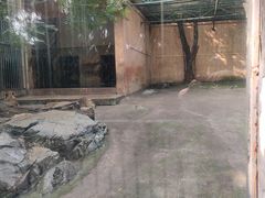 -柳州市动物园