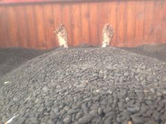 -南京汤山紫清湖生态旅游温泉度假区