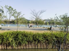 -羊山湖公园