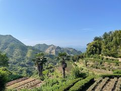 -杨家堂村