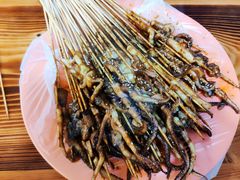 -十里铺铁板鱿鱼