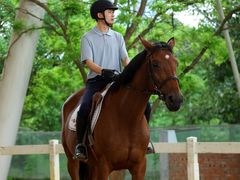 -成都仁和新城购物中心