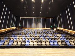 -英皇电影城(英皇集团中心IMAX店)