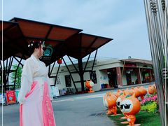 -上海长兴岛郊野公园