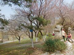 -堤角公园