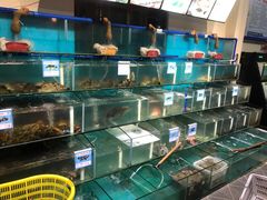 水产区-琼大师东方烤乳猪(亚特兰蒂斯店)