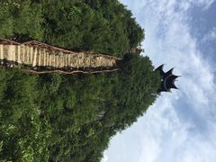 天下龙缸景区-重庆云阳龙缸景区