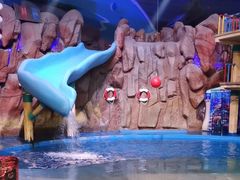 -烟台海昌鲸鲨海洋公园