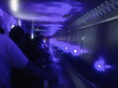 -白鹤梁水下博物馆