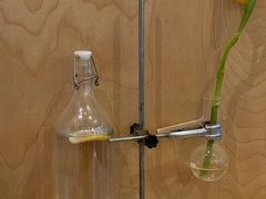 -常识咖啡common sense(春熙路店)