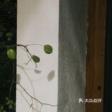 湿地国风下午茶☕️首发‼️氛围感满满