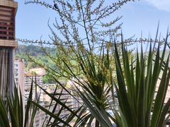 -小八仙·宴(三峡茶庄店)