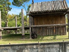 -上海野生动物园