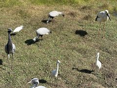 -普洱太阳河森林公园