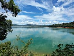 -广州市流溪河国家森林公园