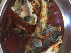 -风鑫铃罗非鱼(道沟店)