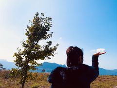 -山王坪喀斯特国家生态公园
