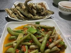 -晓雯人家